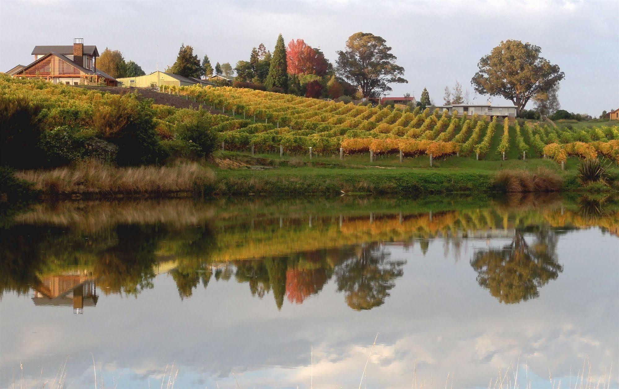 Pine Hill Lodge In Vineyard Mapua Exterior photo